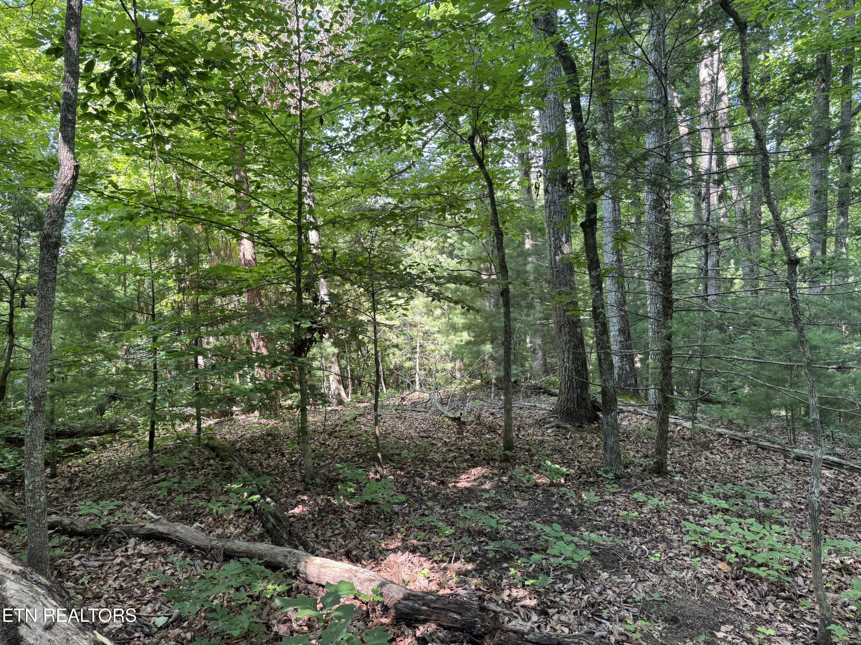 332 Padgett Mill Road Cosby TN 37722