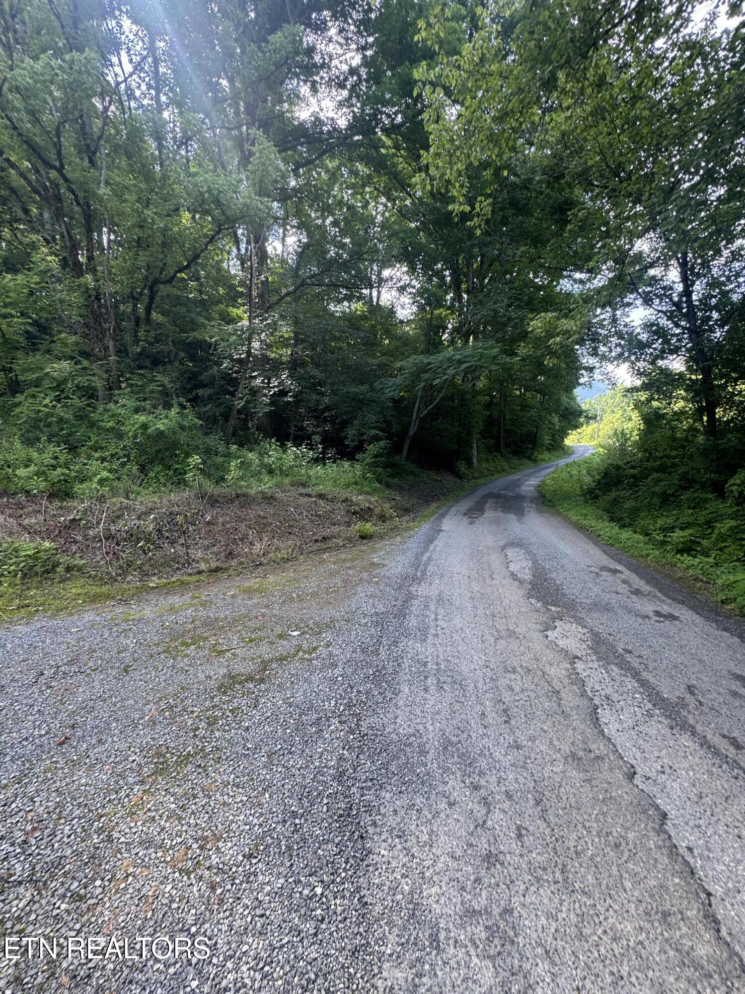 332 Padgett Mill Road Cosby TN 37722
