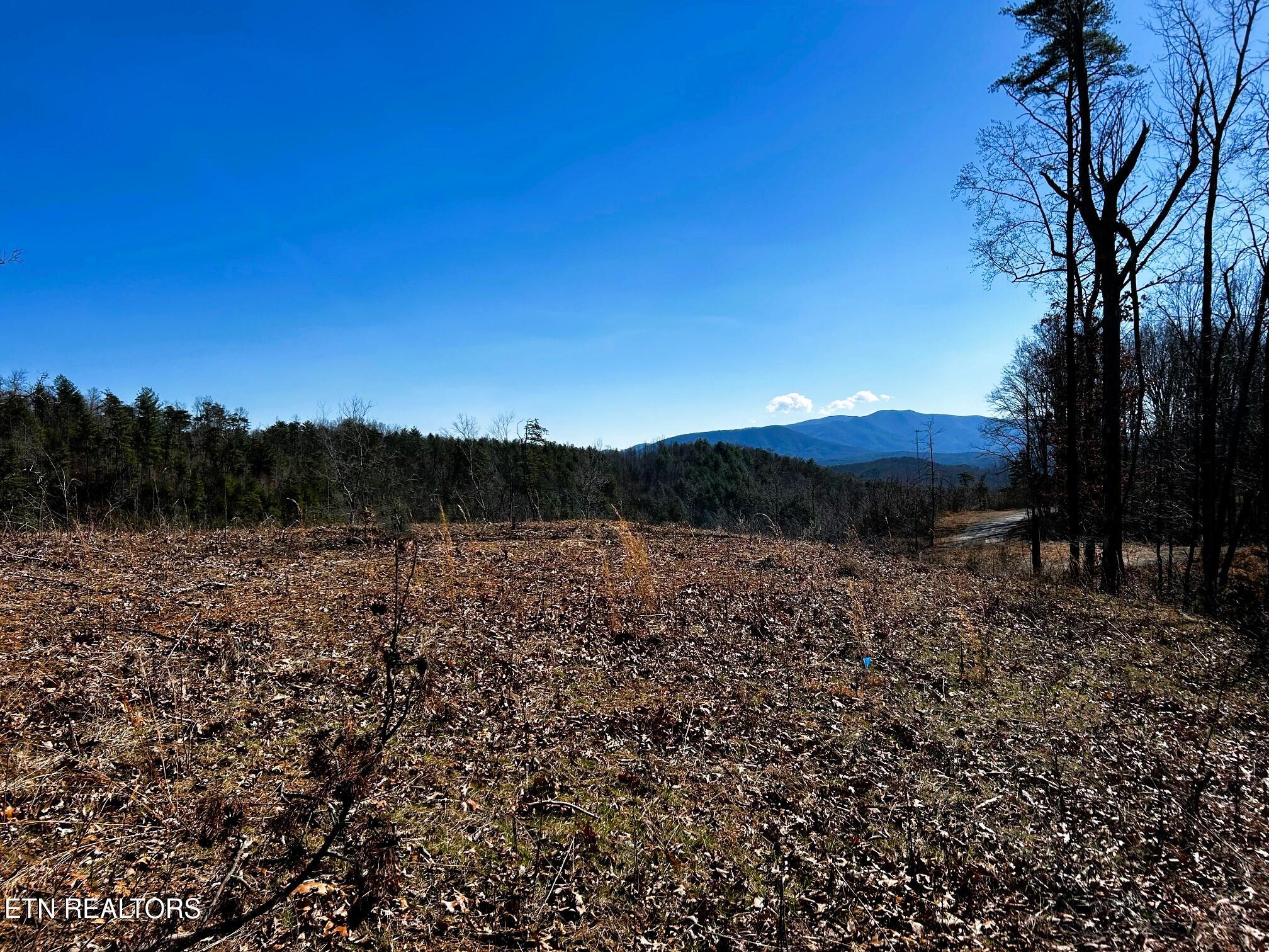 107/125 Chestnut Mountain Road Reliance TN 37369