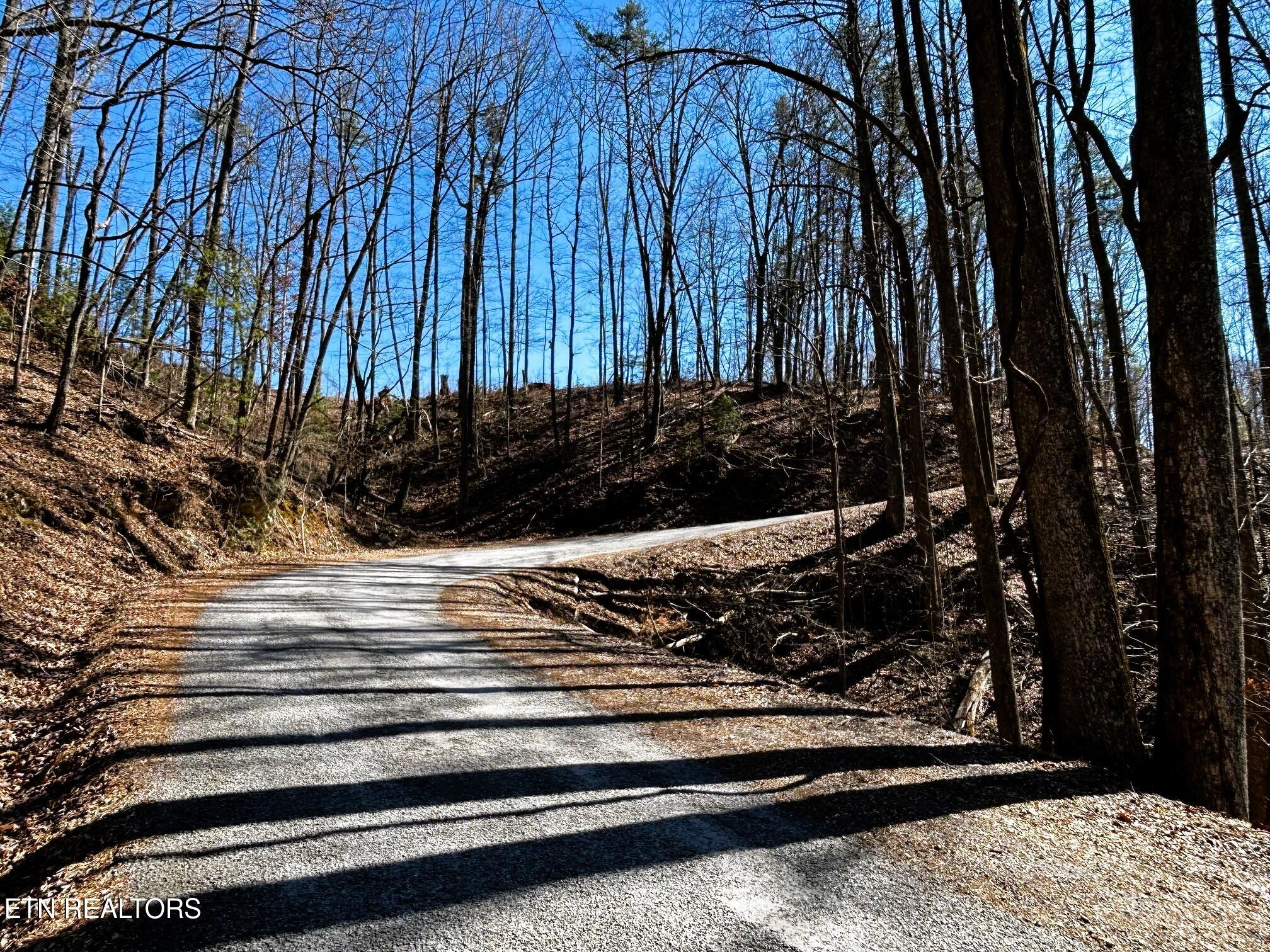 107/125 Chestnut Mountain Road Reliance TN 37369