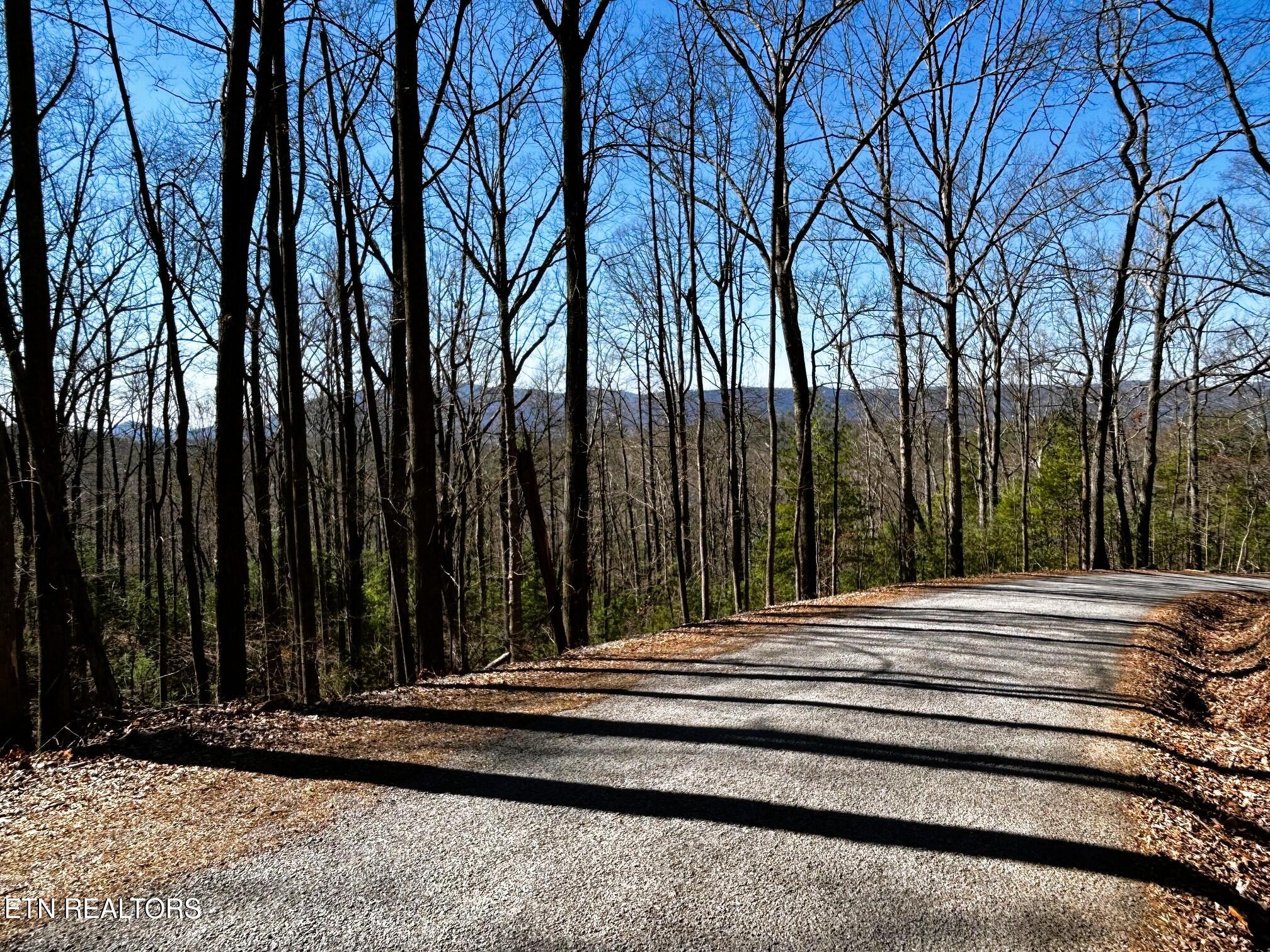 107/125 Chestnut Mountain Road Reliance TN 37369