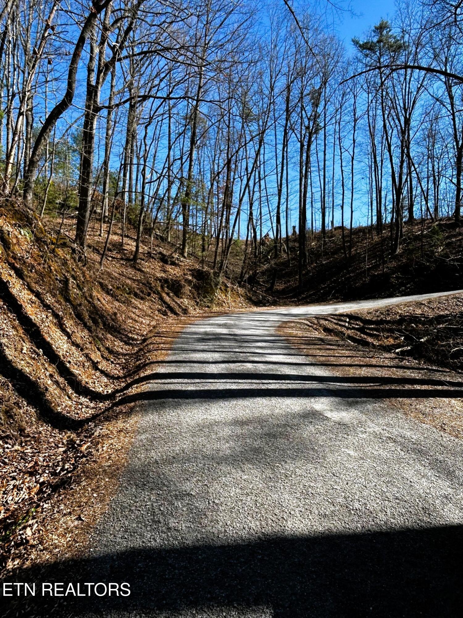 107/125 Chestnut Mountain Road Reliance TN 37369