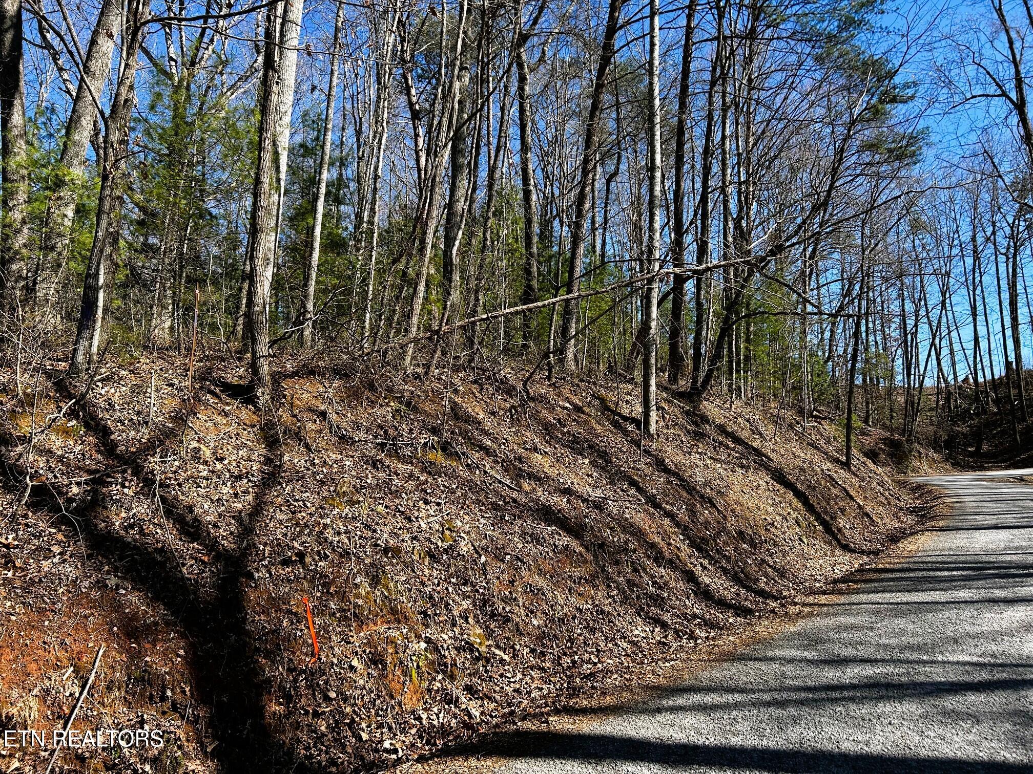 107/125 Chestnut Mountain Road Reliance TN 37369