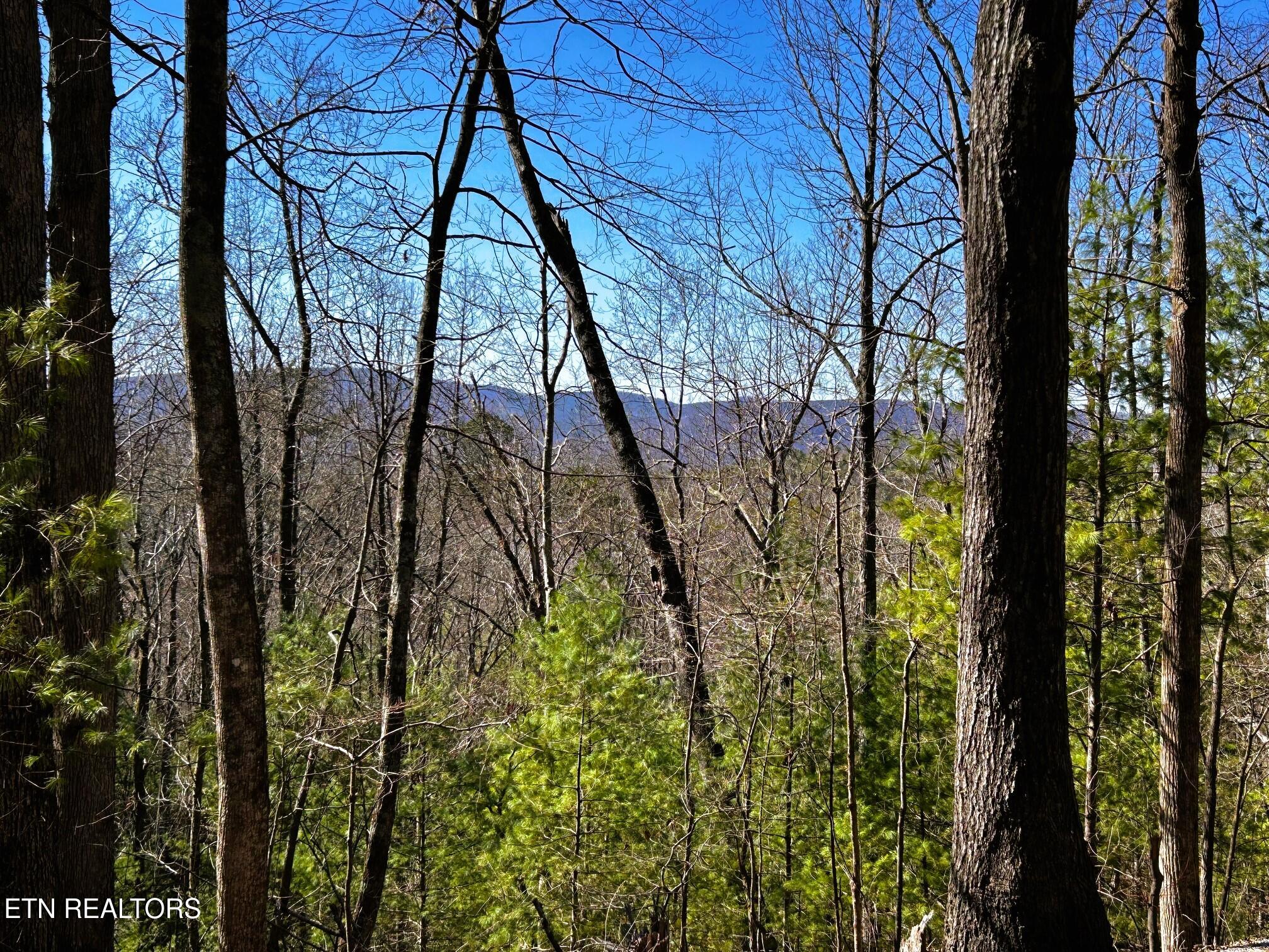 107/125 Chestnut Mountain Road Reliance TN 37369