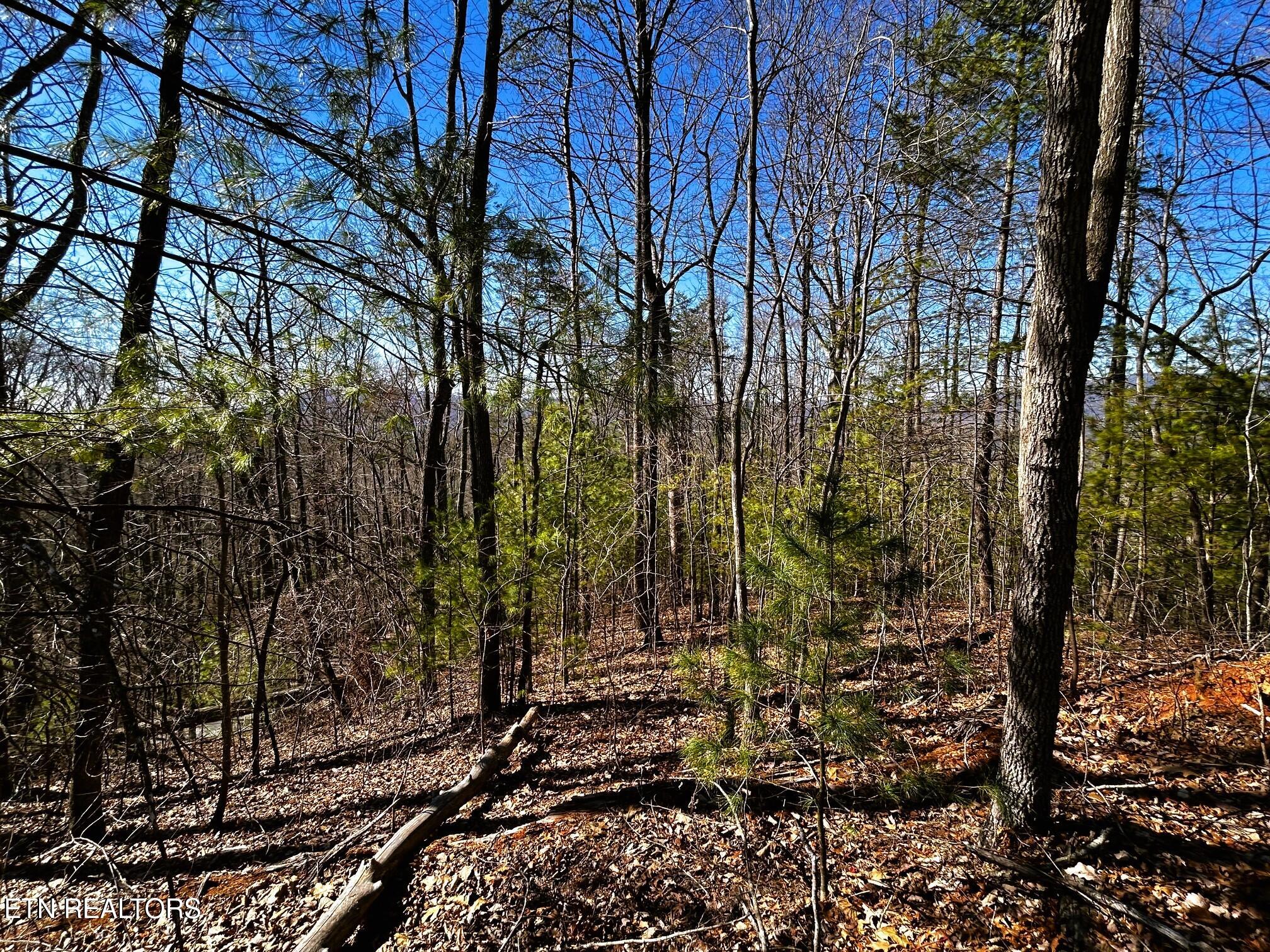 107/125 Chestnut Mountain Road Reliance TN 37369