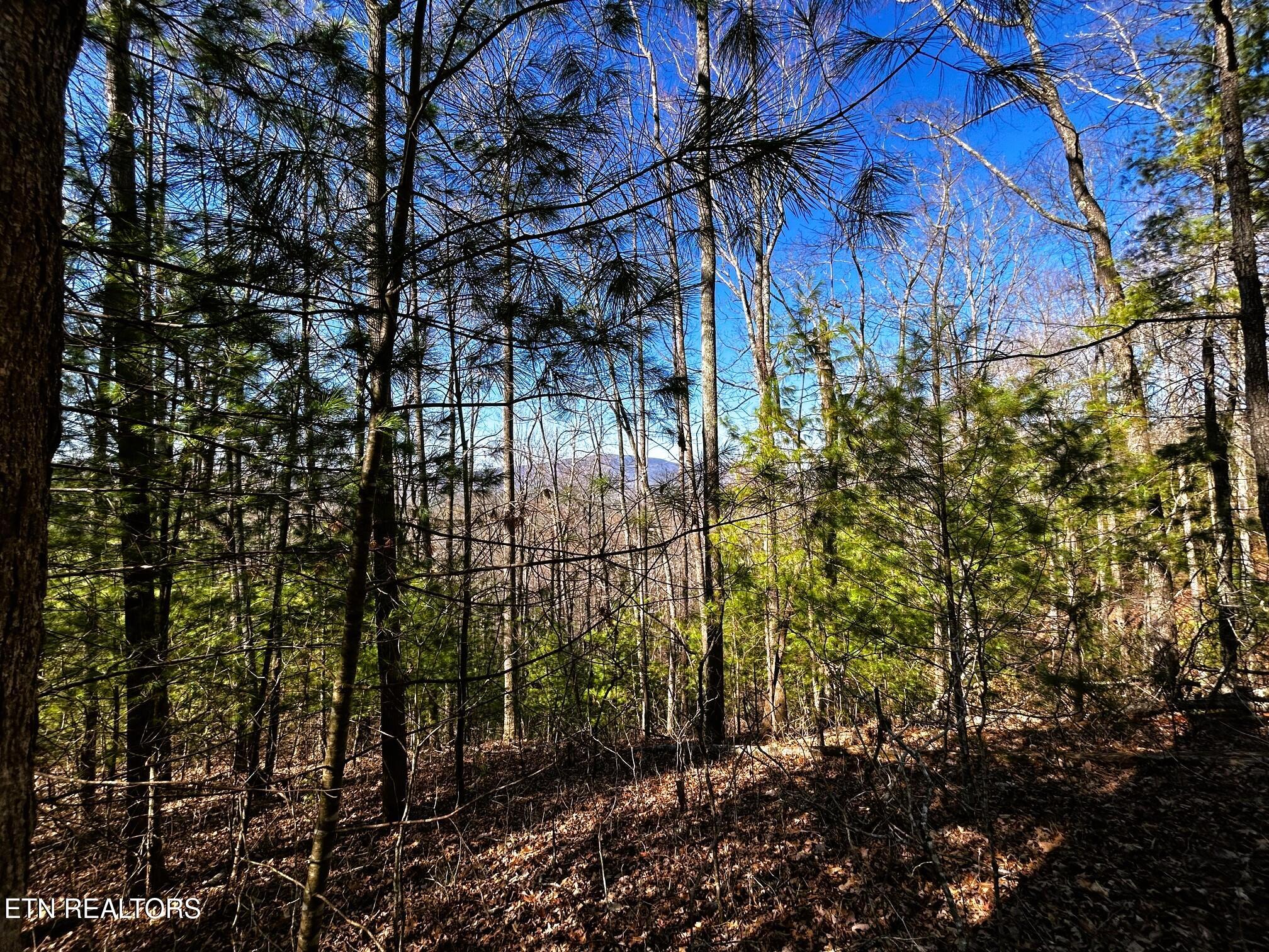 107/125 Chestnut Mountain Road Reliance TN 37369