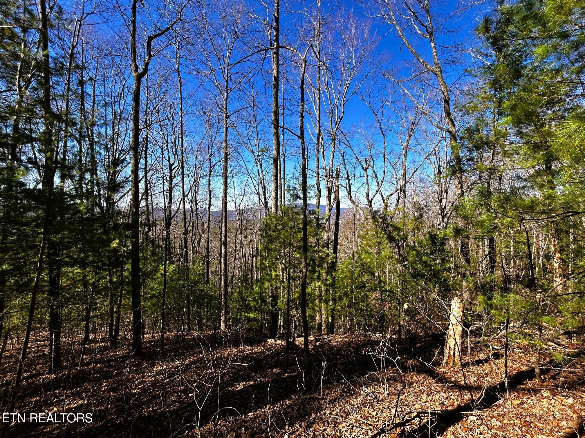 107/125 Chestnut Mountain Road Reliance TN 37369
