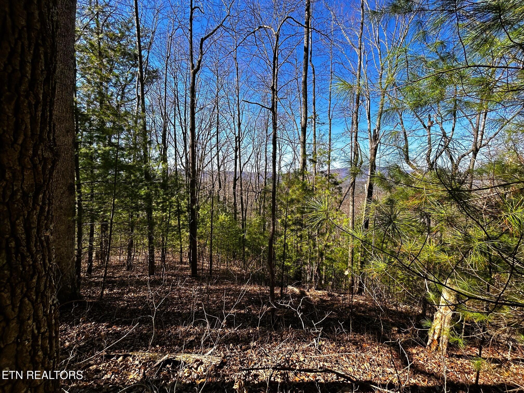 107/125 Chestnut Mountain Road Reliance TN 37369