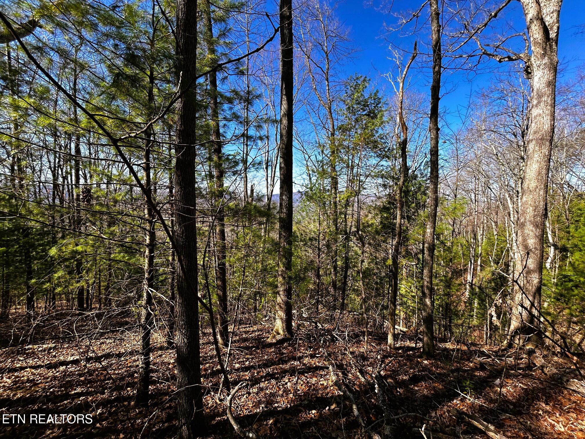 107/125 Chestnut Mountain Road Reliance TN 37369