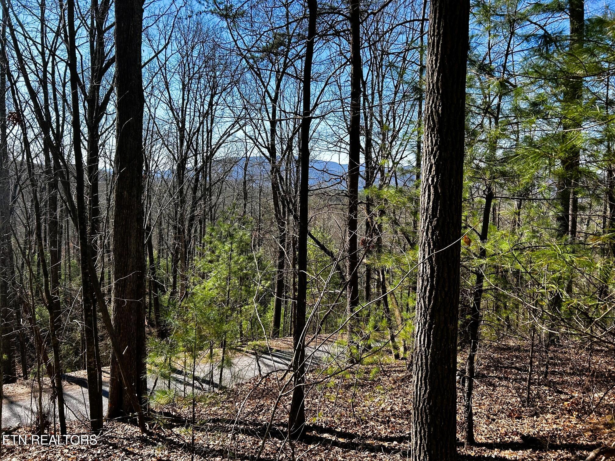 107/125 Chestnut Mountain Road Reliance TN 37369