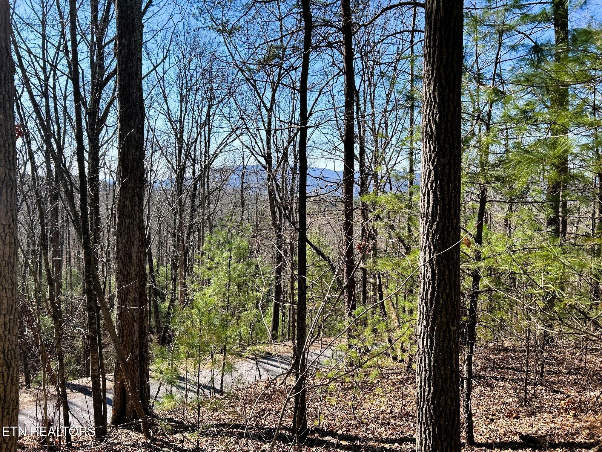 107/125 Chestnut Mountain Road Reliance TN 37369