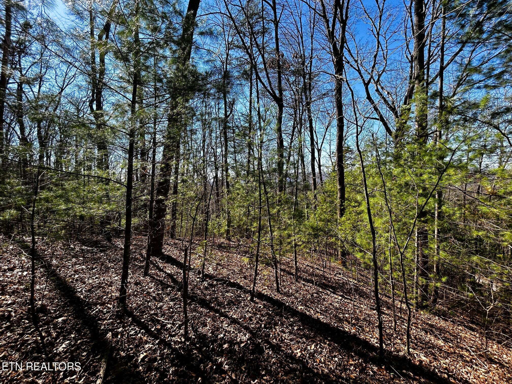 107/125 Chestnut Mountain Road Reliance TN 37369