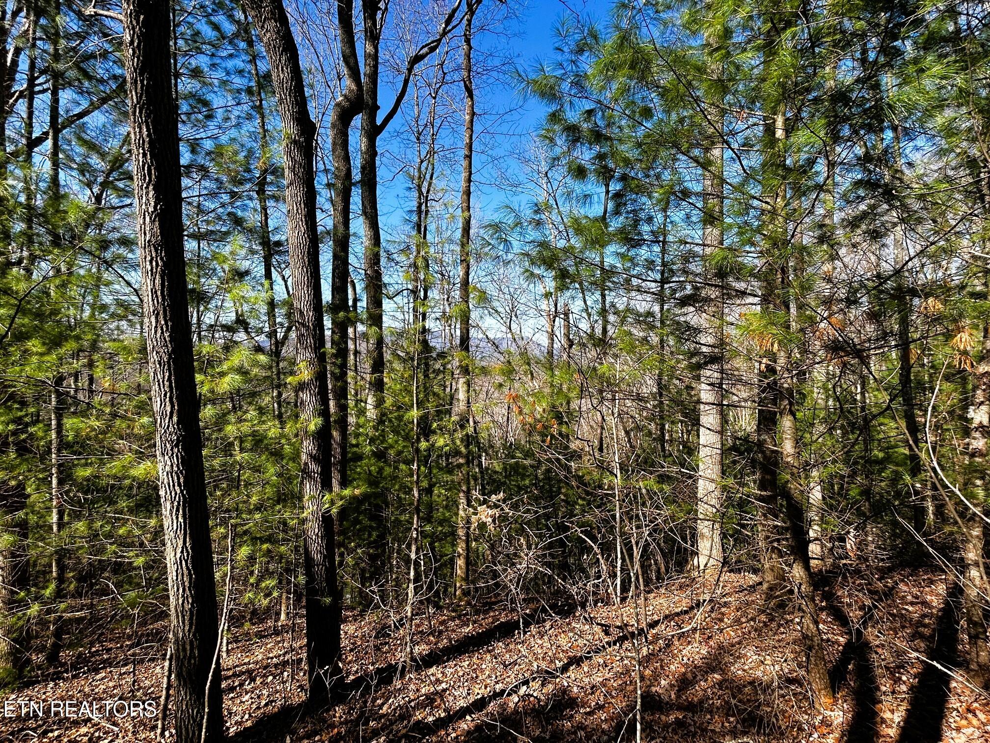 107/125 Chestnut Mountain Road Reliance TN 37369