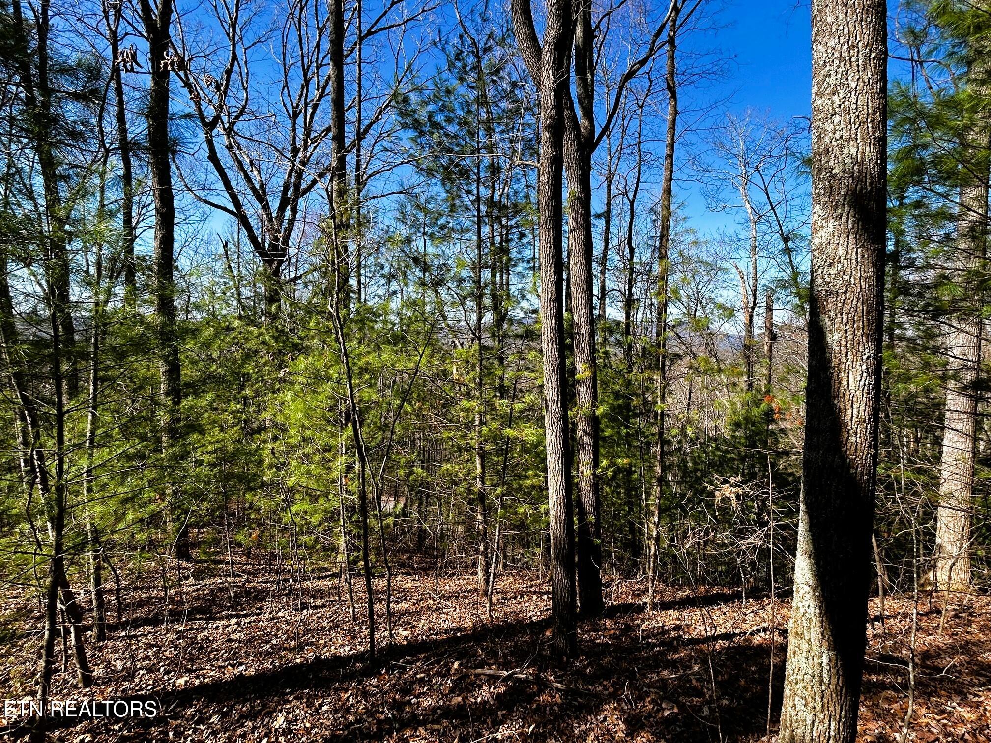 107/125 Chestnut Mountain Road Reliance TN 37369