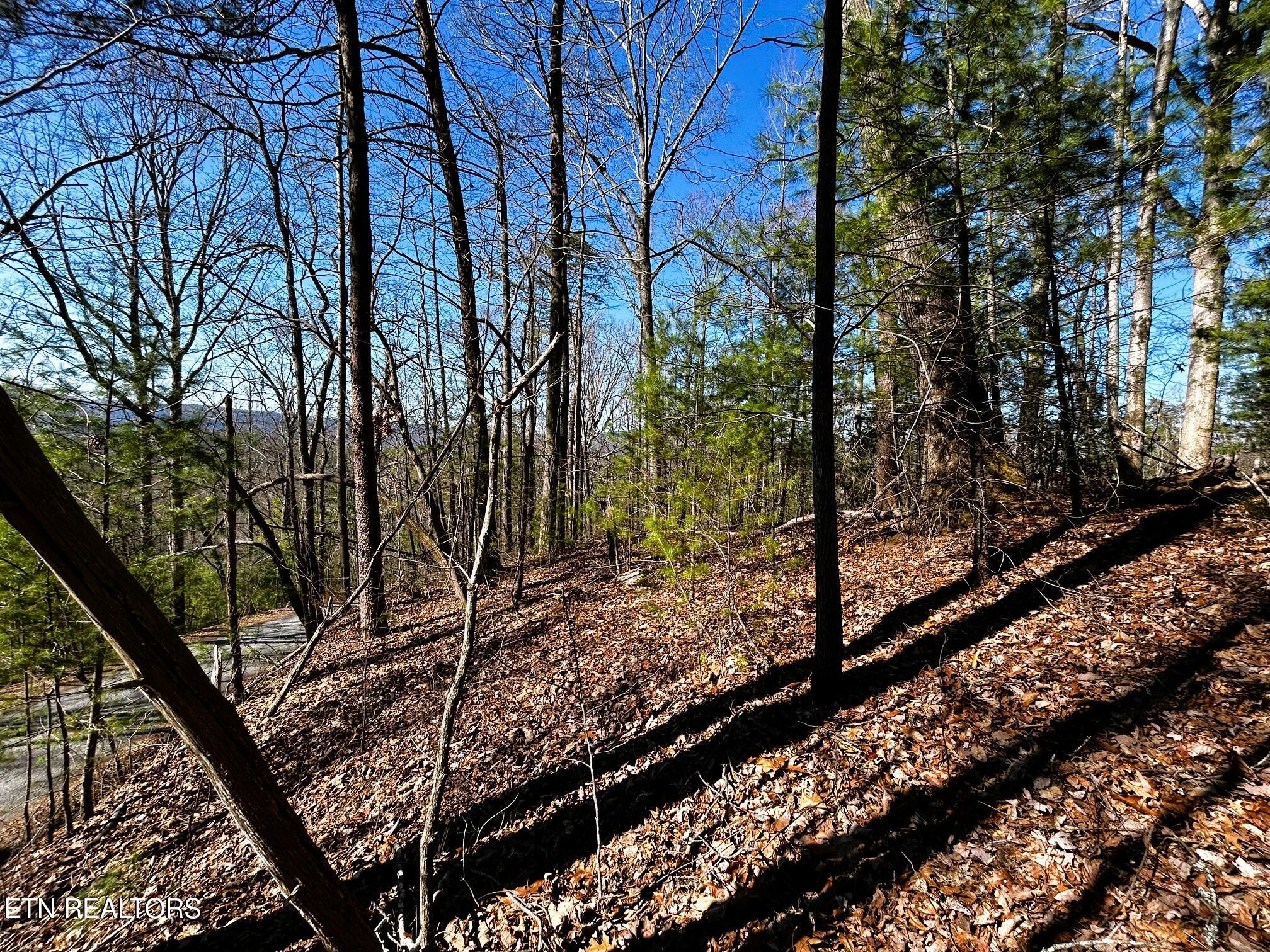107/125 Chestnut Mountain Road Reliance TN 37369