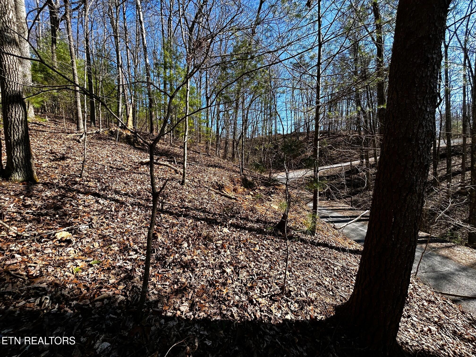 107/125 Chestnut Mountain Road Reliance TN 37369