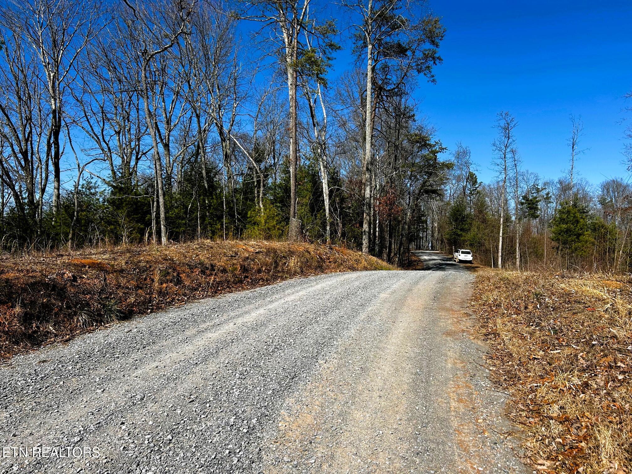 107/125 Chestnut Mountain Road Reliance TN 37369
