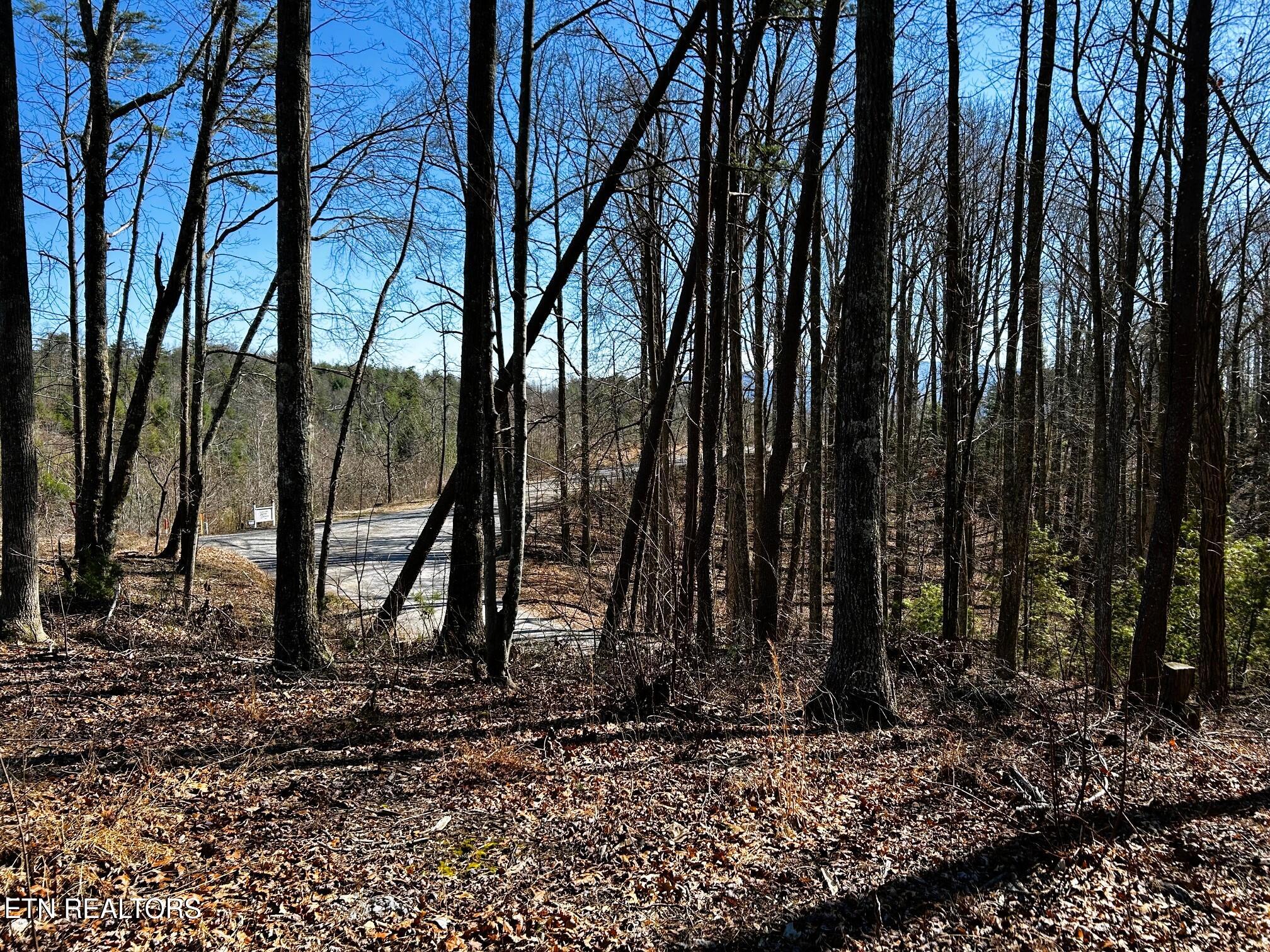 107/125 Chestnut Mountain Road Reliance TN 37369