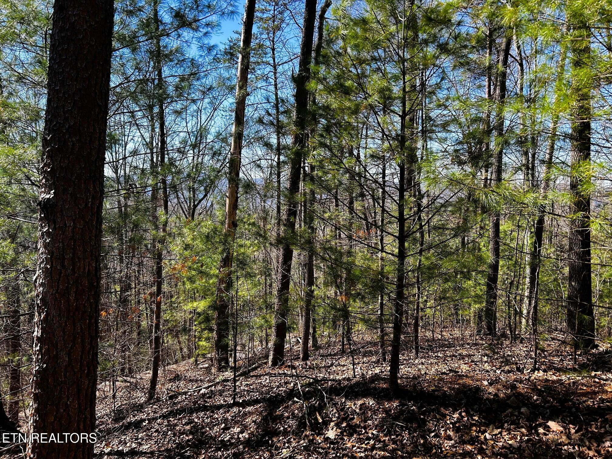 107/125 Chestnut Mountain Road Reliance TN 37369