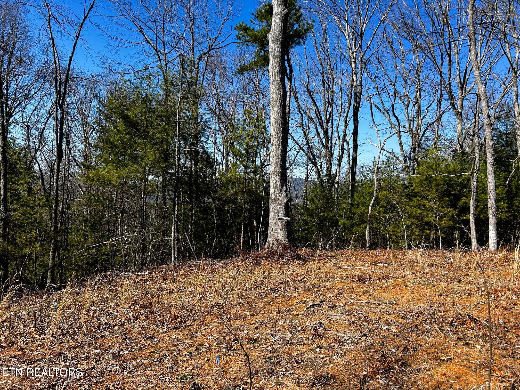 107/125 Chestnut Mountain Road Reliance TN 37369