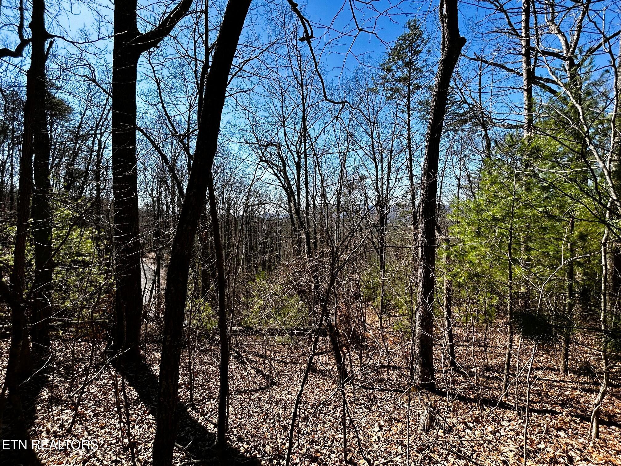 107/125 Chestnut Mountain Road Reliance TN 37369