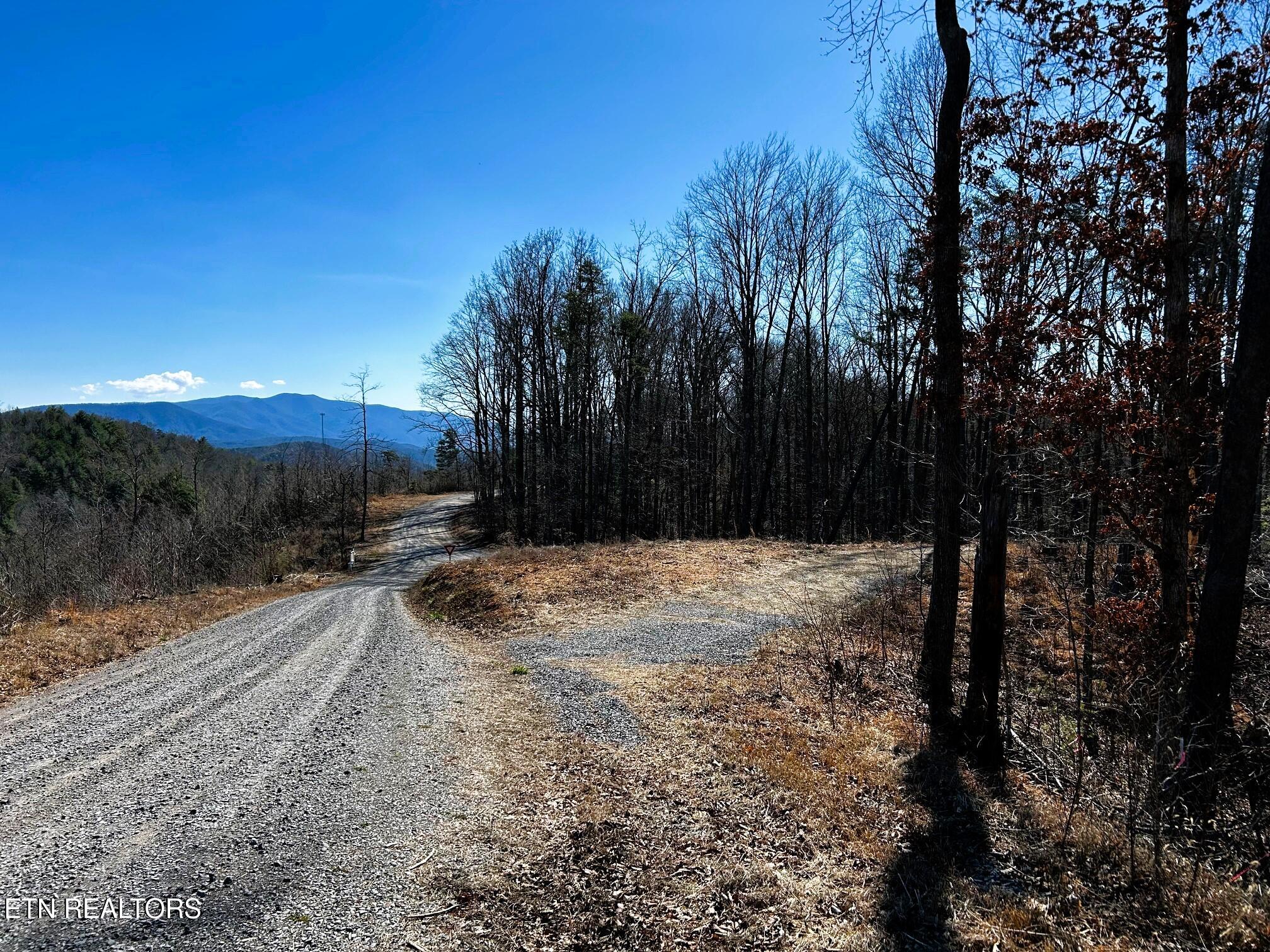 107/125 Chestnut Mountain Road Reliance TN 37369