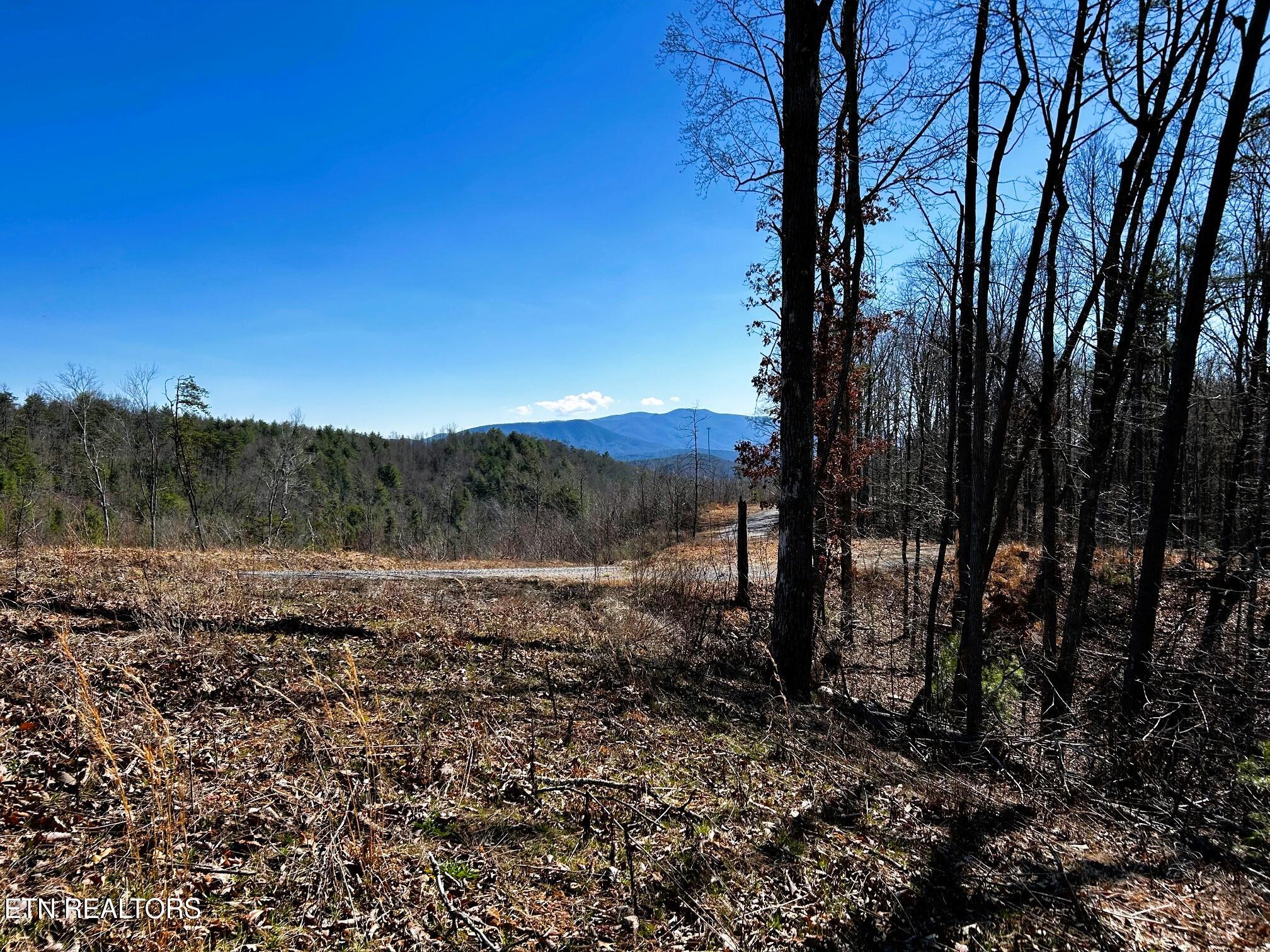 107/125 Chestnut Mountain Road Reliance TN 37369