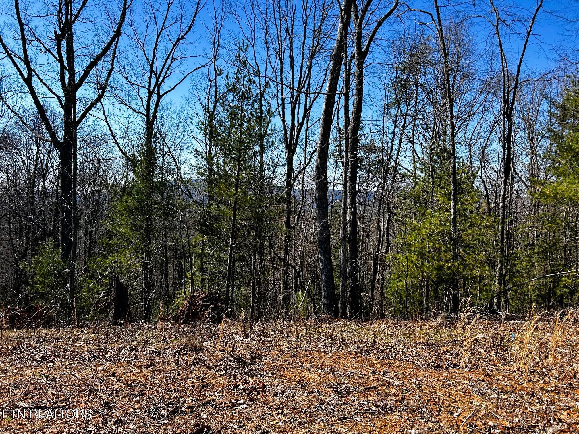 107/125 Chestnut Mountain Road Reliance TN 37369
