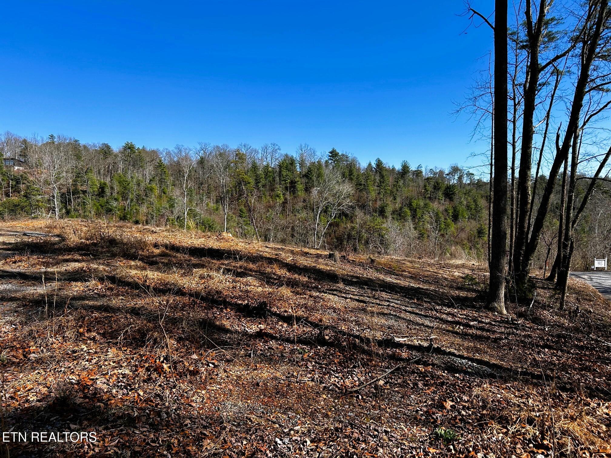 107/125 Chestnut Mountain Road Reliance TN 37369