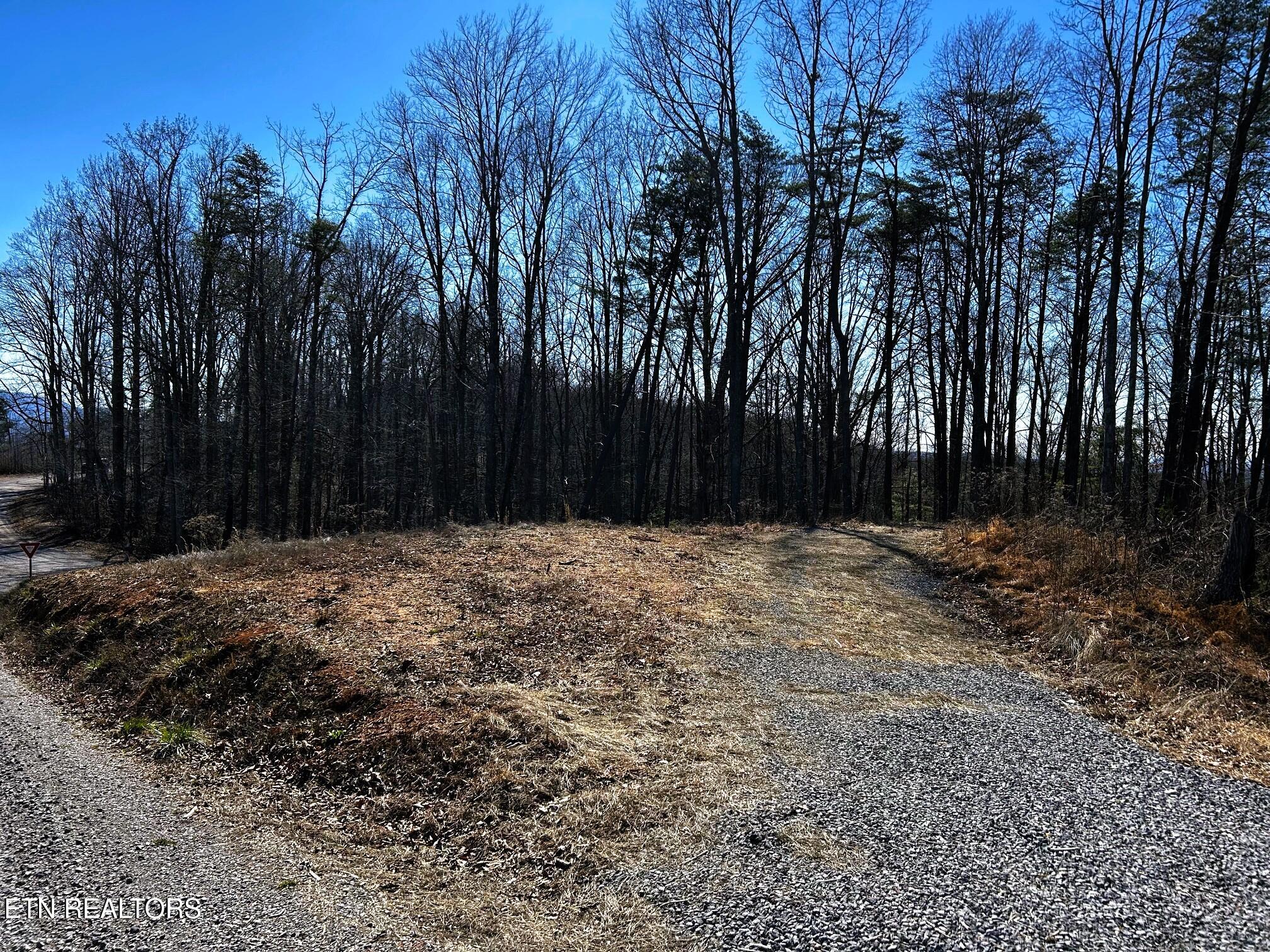 107/125 Chestnut Mountain Road Reliance TN 37369