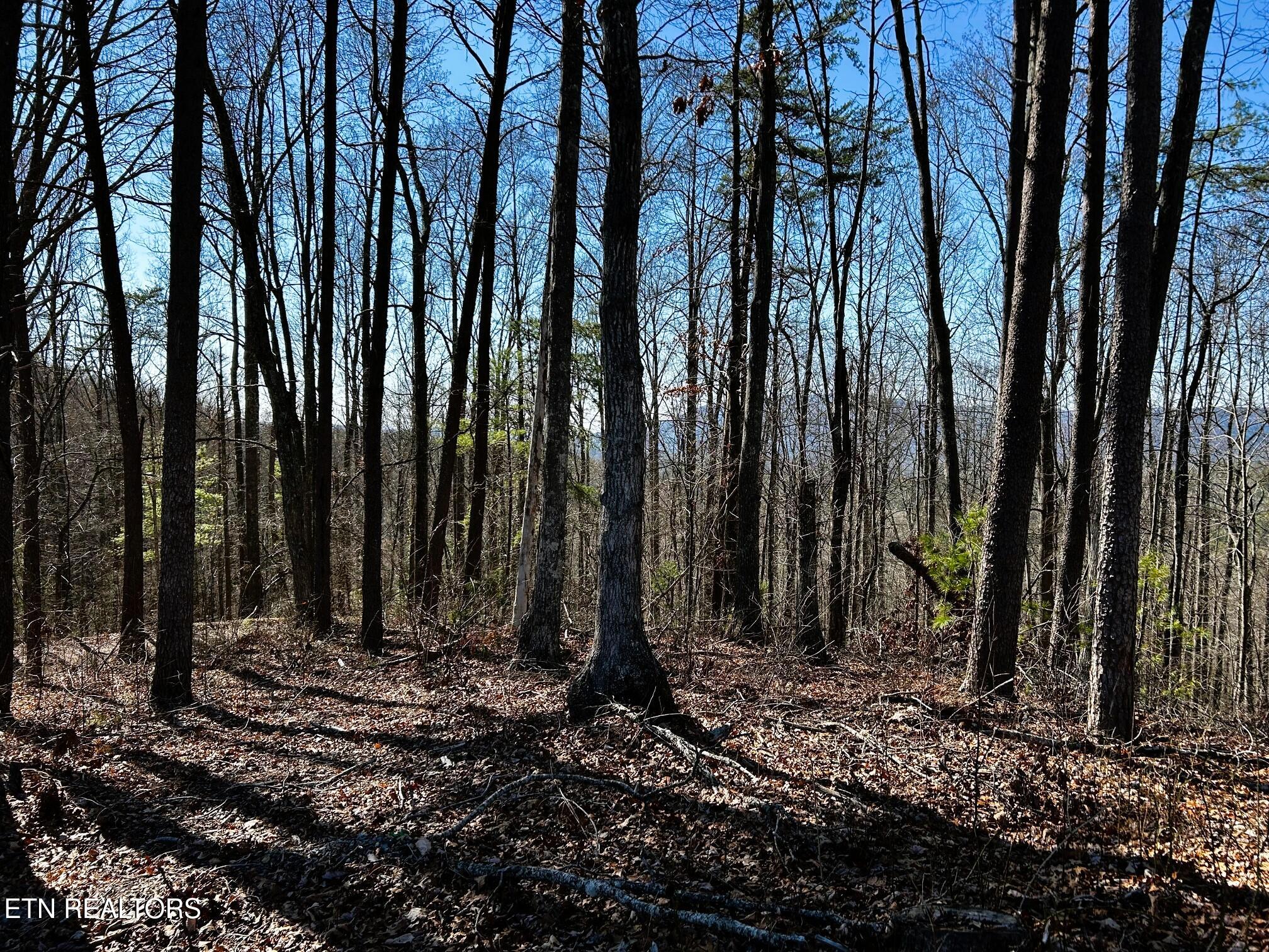 107/125 Chestnut Mountain Road Reliance TN 37369