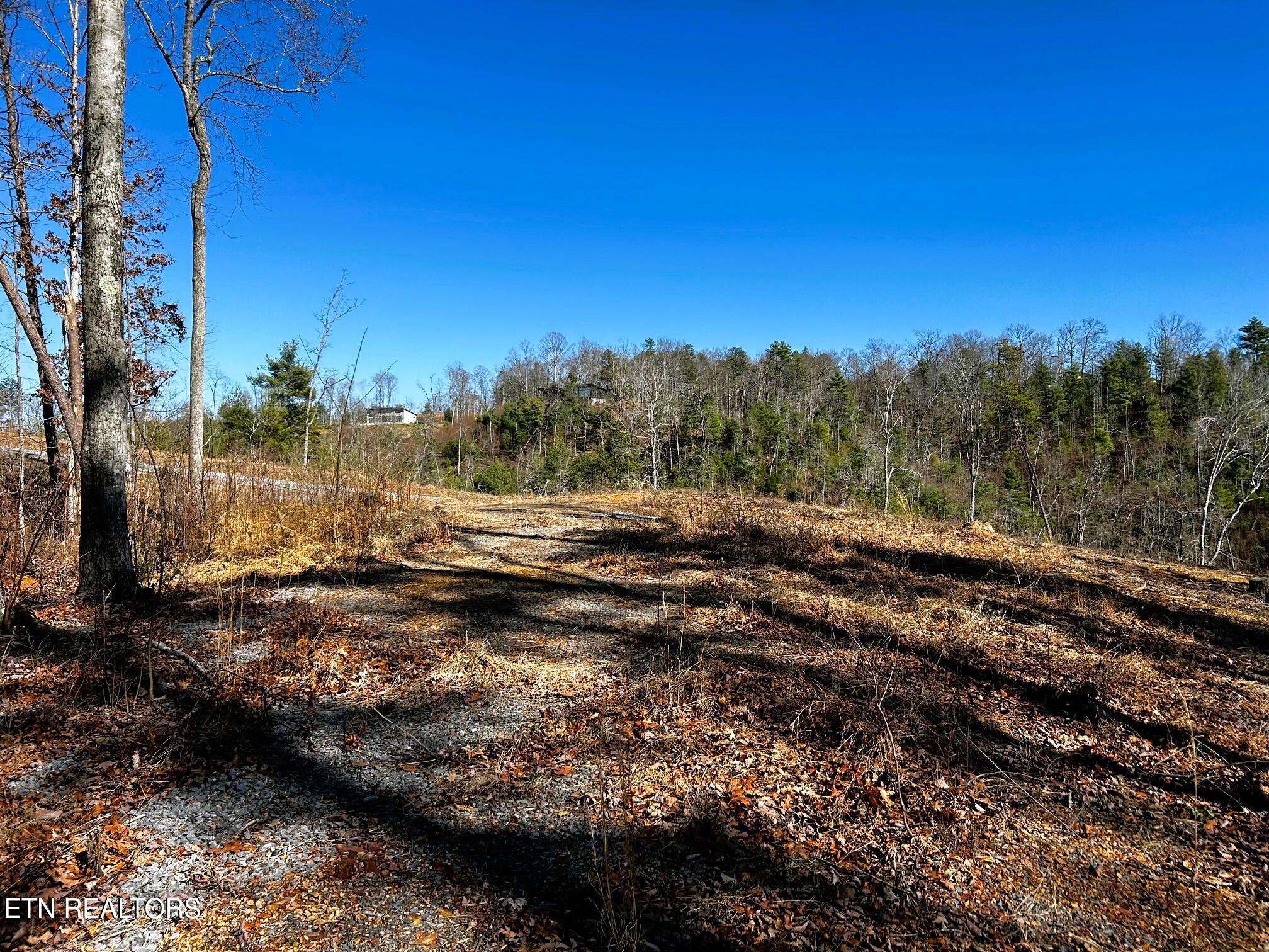 107/125 Chestnut Mountain Road Reliance TN 37369