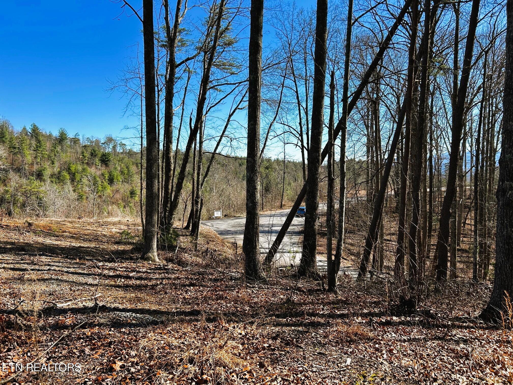 107/125 Chestnut Mountain Road Reliance TN 37369
