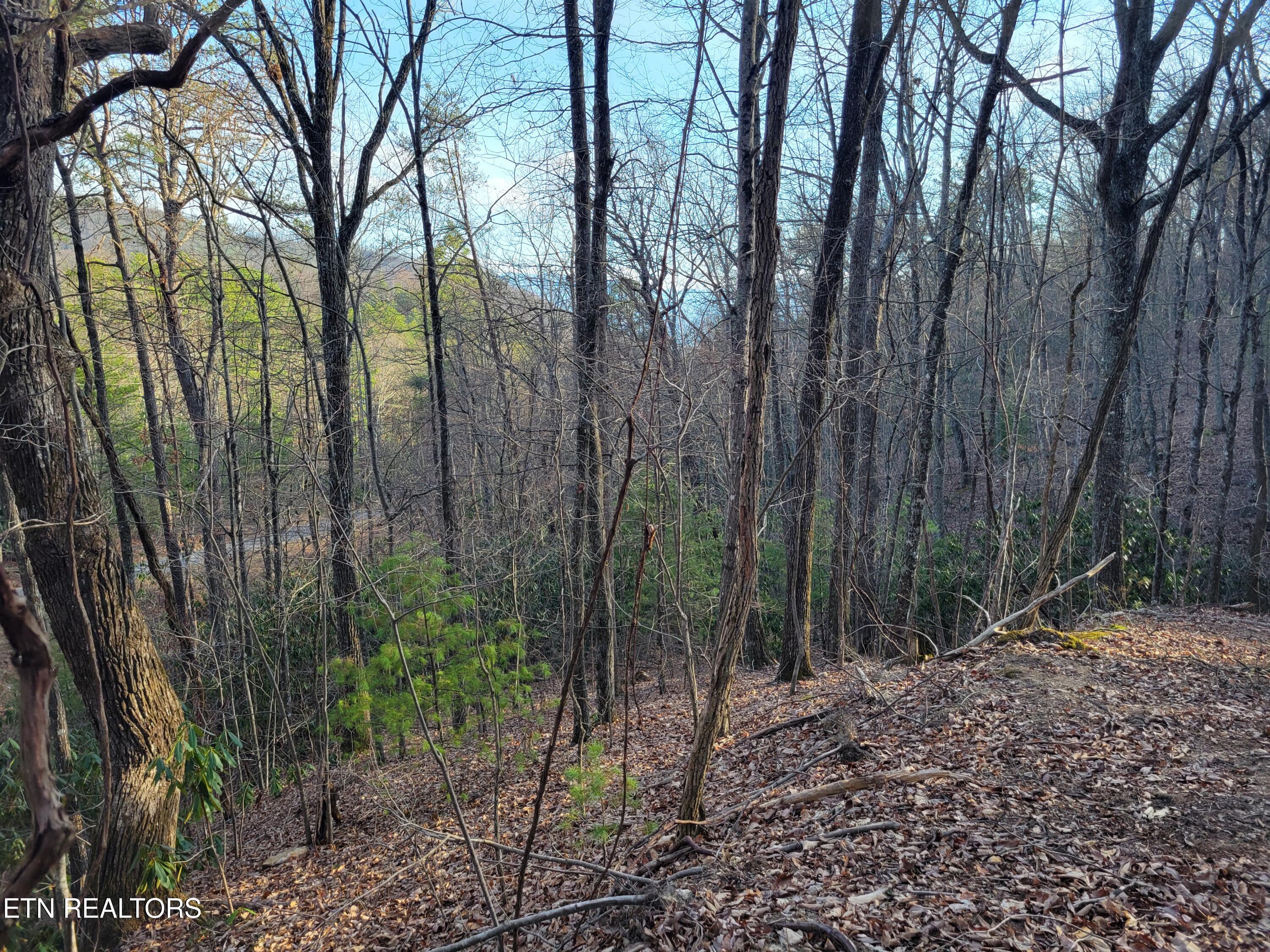Lot 5 Swann Saddle Sevierville TN 37876
