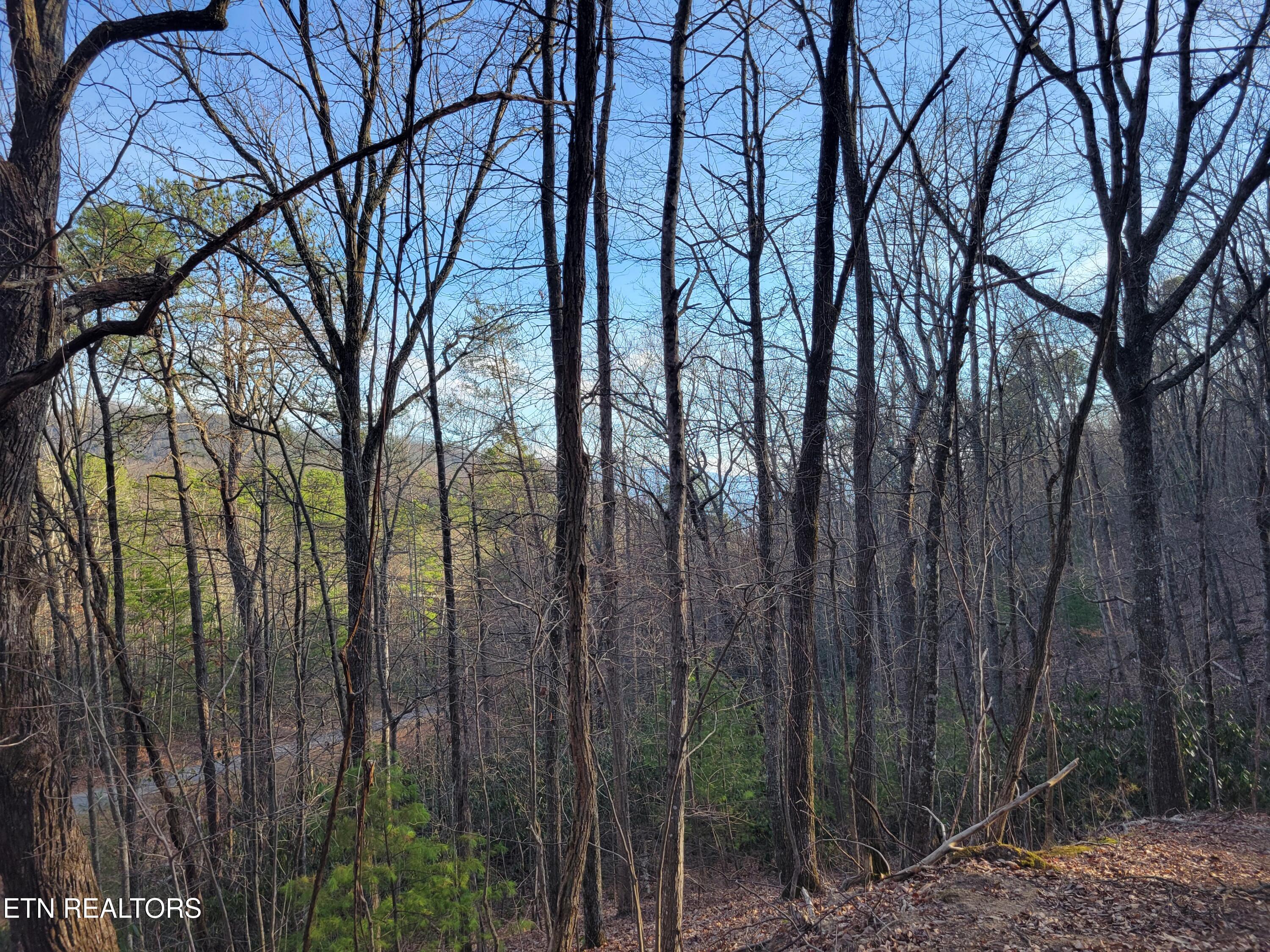 Lot 5 Swann Saddle Sevierville TN 37876