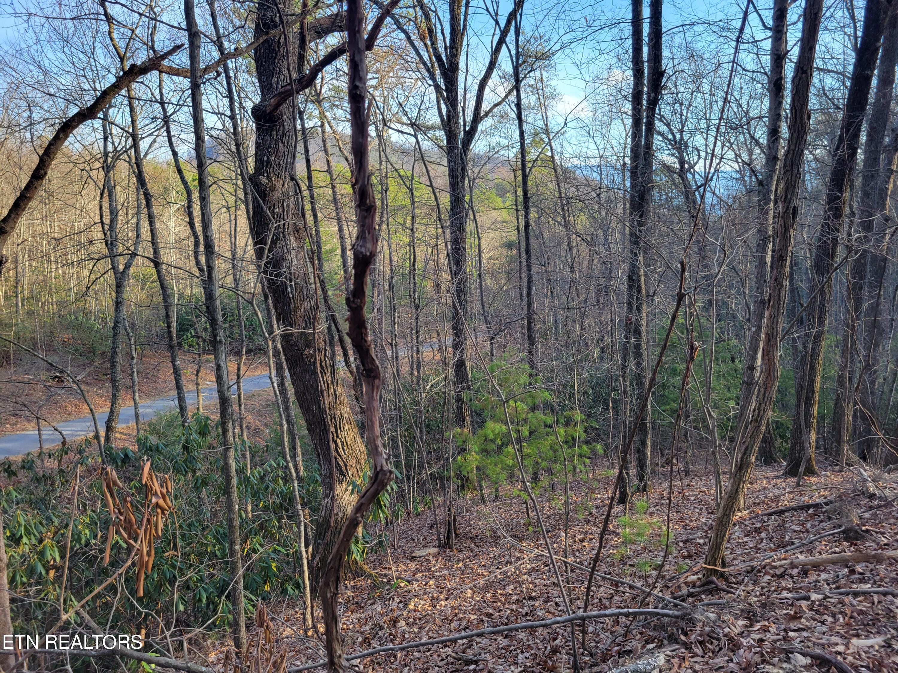 Lot 5 Swann Saddle Sevierville TN 37876