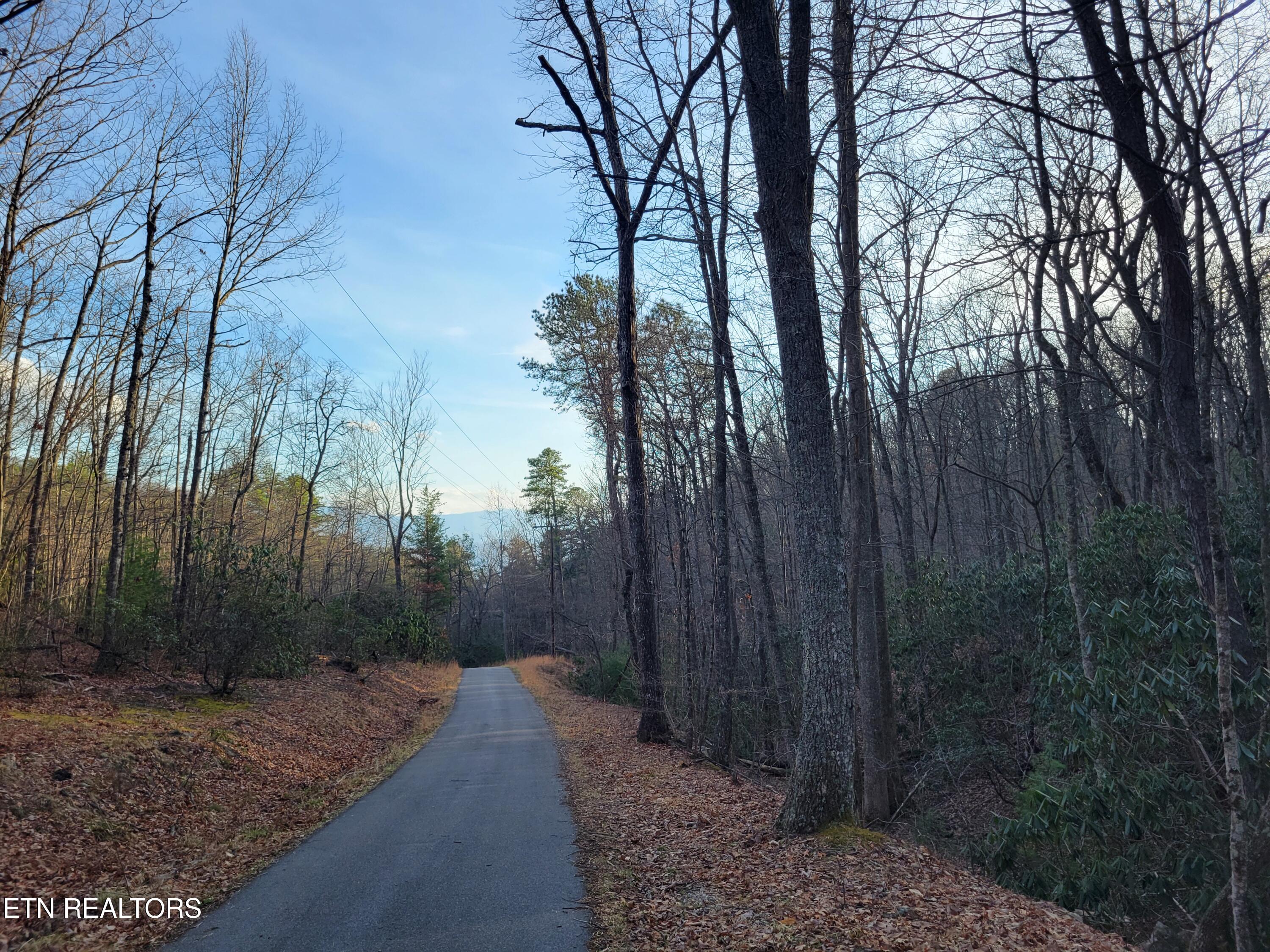 Lot 5 Swann Saddle Sevierville TN 37876