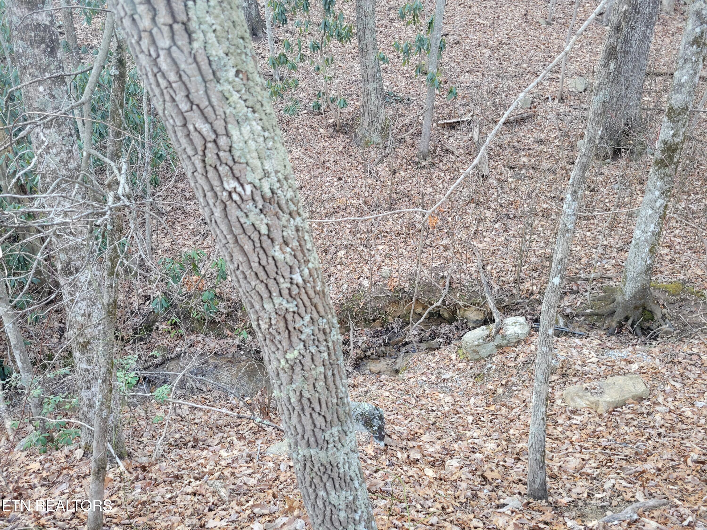 Lot 5 Swann Saddle Sevierville TN 37876