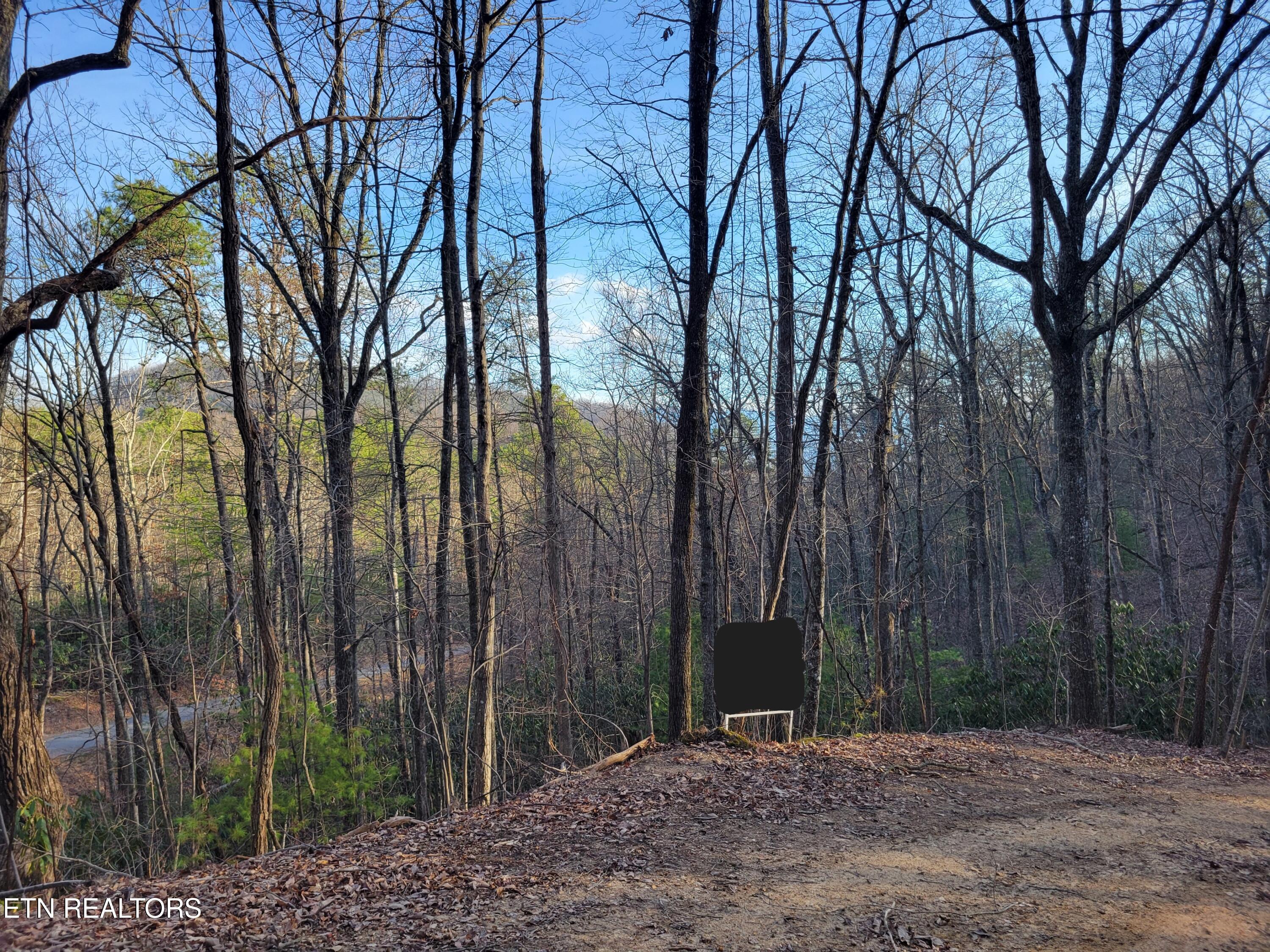 Lot 5 Swann Saddle Sevierville TN 37876