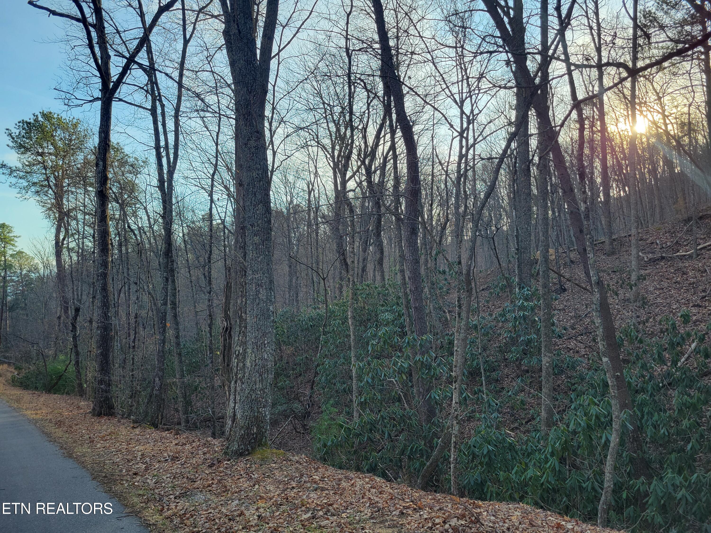 Lot 5 Swann Saddle Sevierville TN 37876