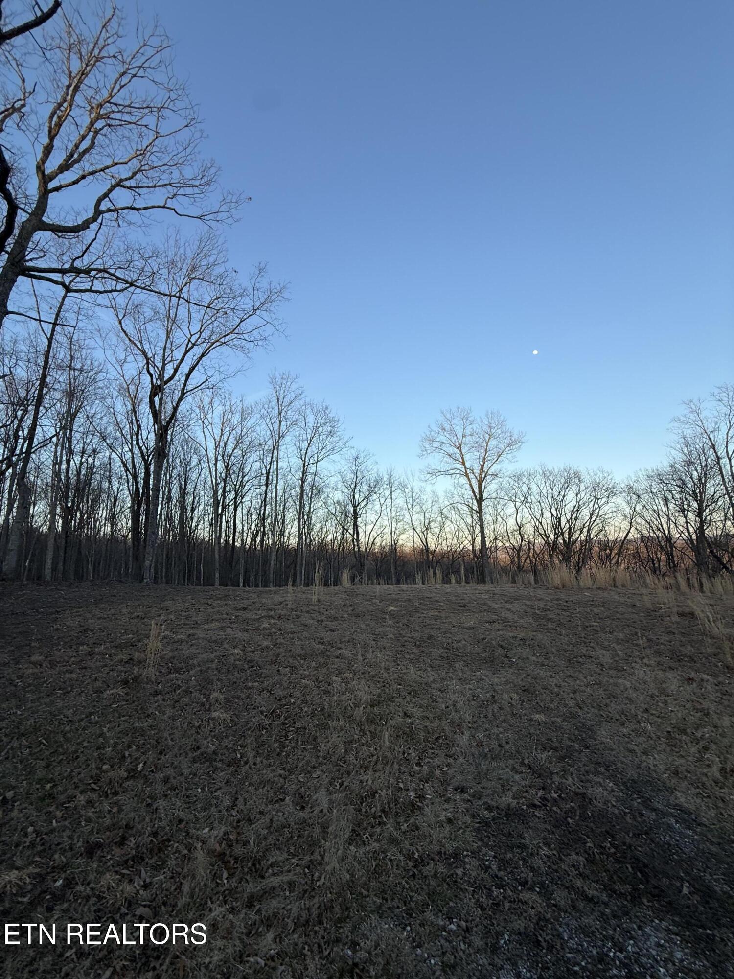 Hunter Hills Drive Oneida TN 37841