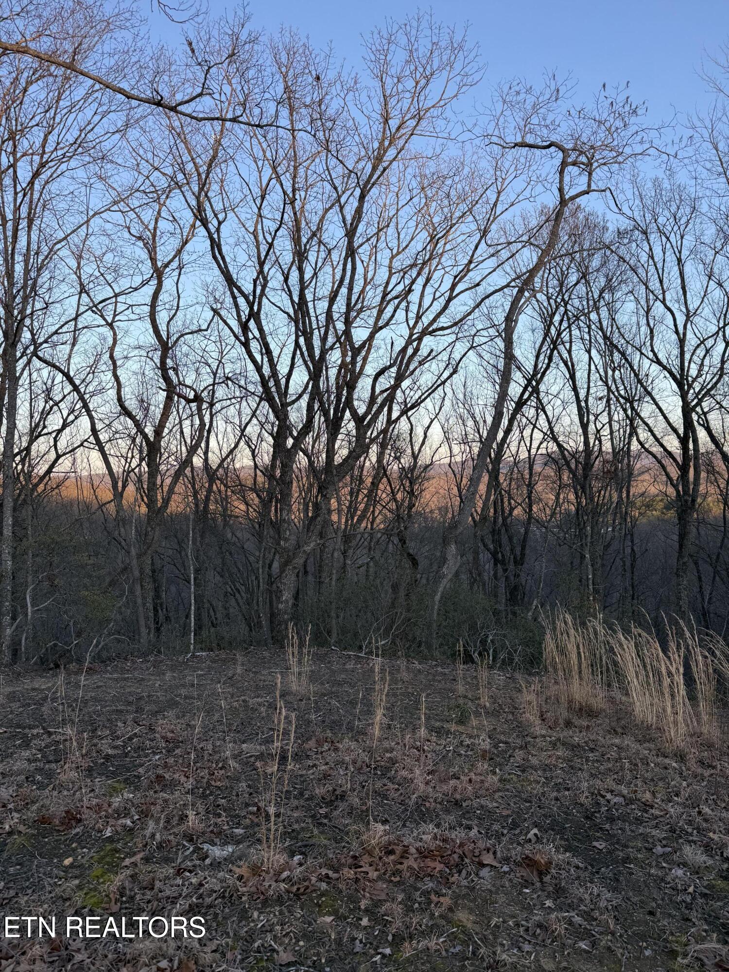 Hunter Hills Drive Oneida TN 37841