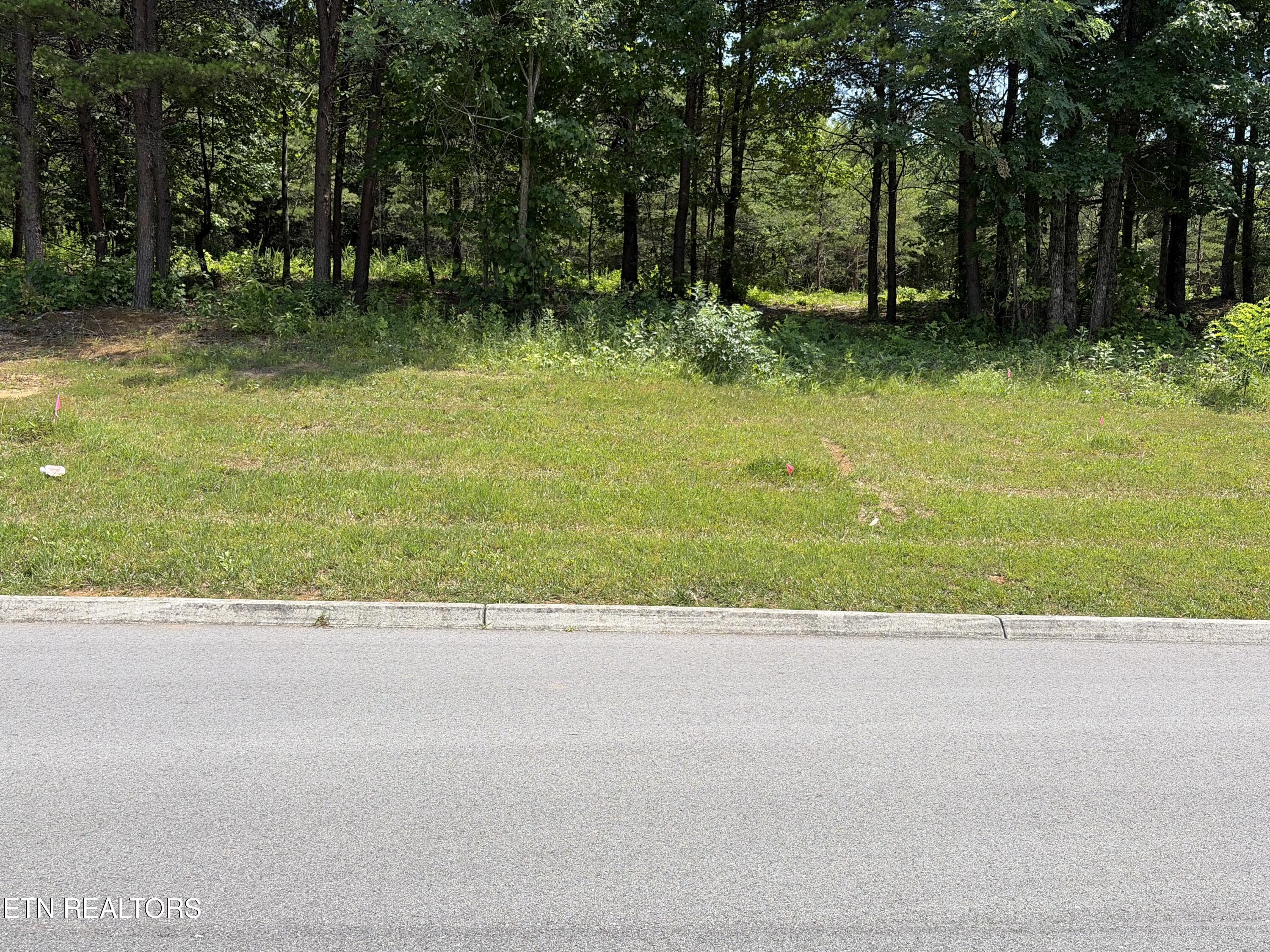 144 Red Wing Drive Vonore TN 37885