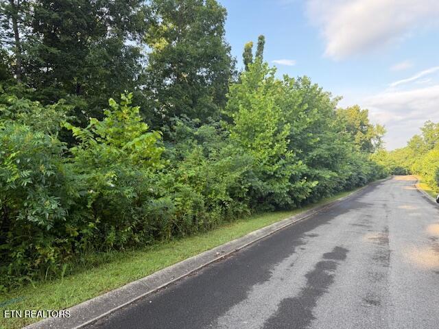 Lot 16 Woodland Creek Dandridge TN 37725