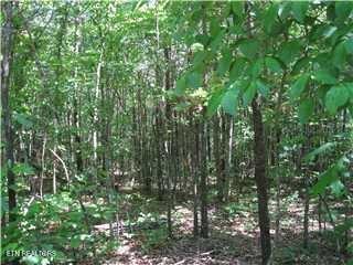 7681 Highway 68 Madisonville TN 37354