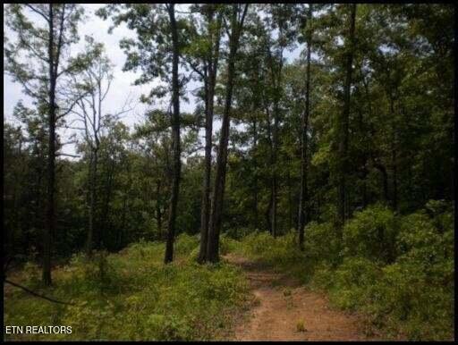 7681 Highway 68 Madisonville TN 37354