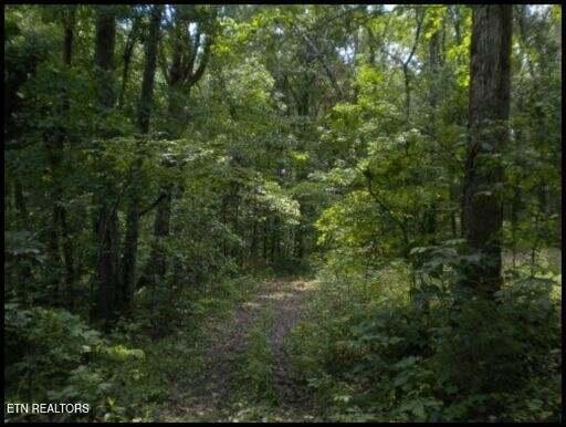 7681 Highway 68 Madisonville TN 37354