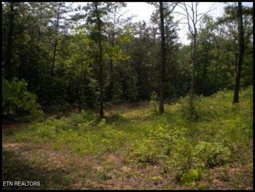 7681 Highway 68 Madisonville TN 37354