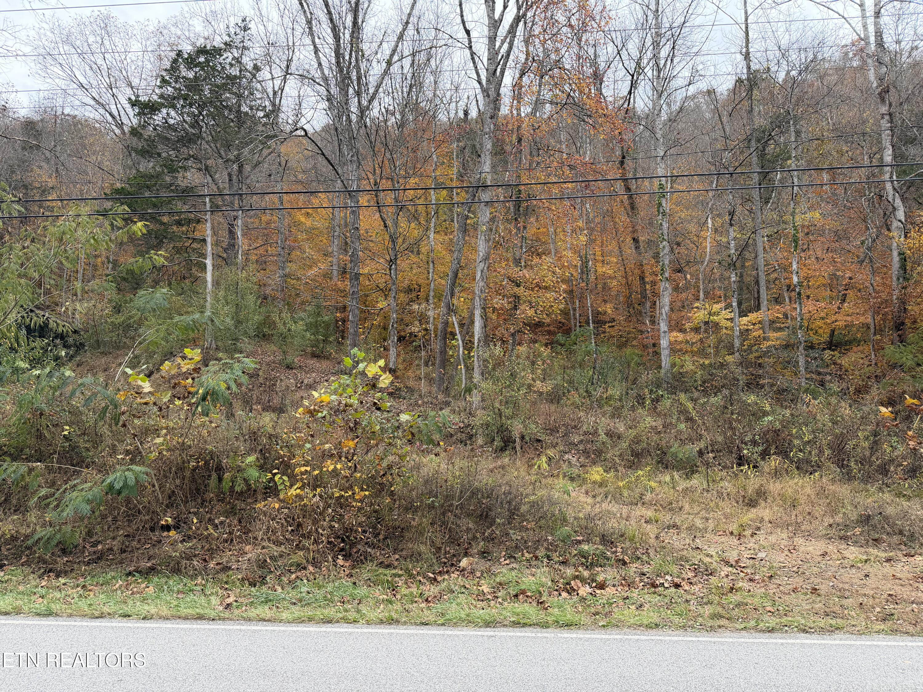Stinking Creek Road Lafollette TN 37766