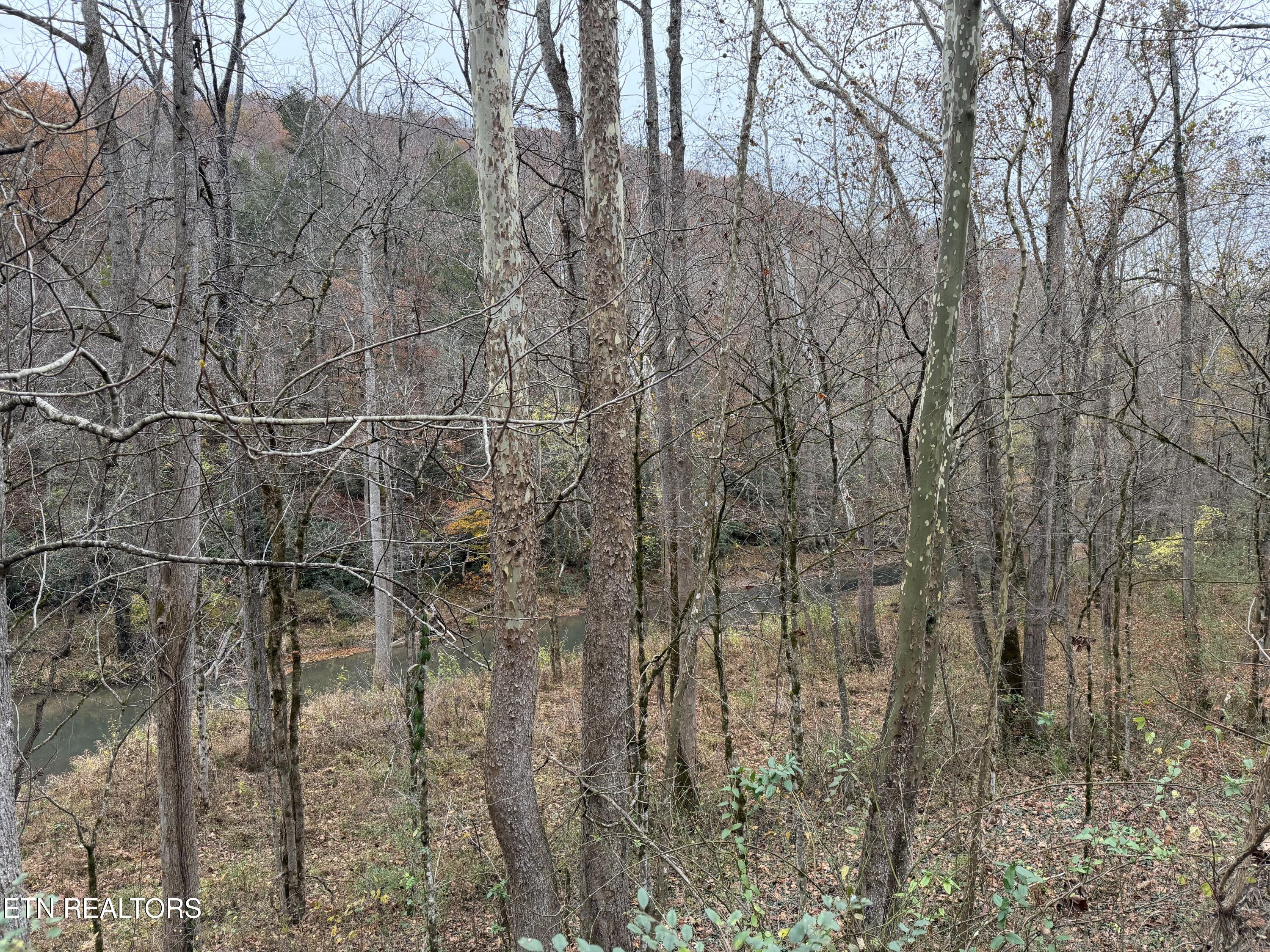 Stinking Creek Road Lafollette TN 37766